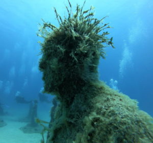 Molly Williams, Giving the Ocean a Face, sunken sculptures