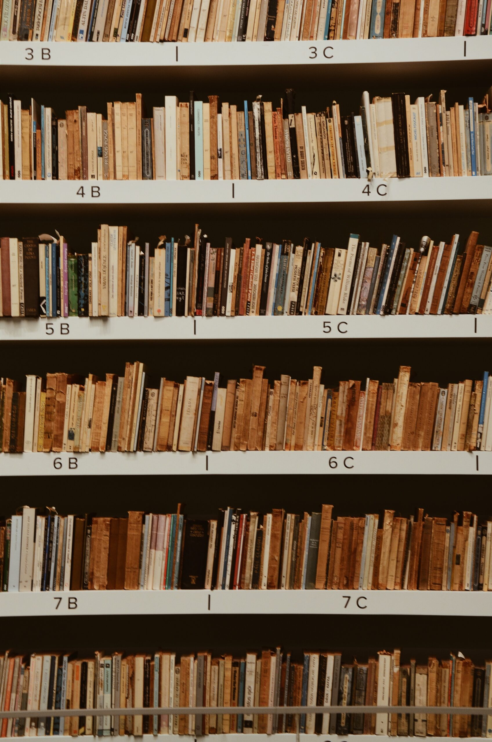 Old books archived in a shelf-filing system